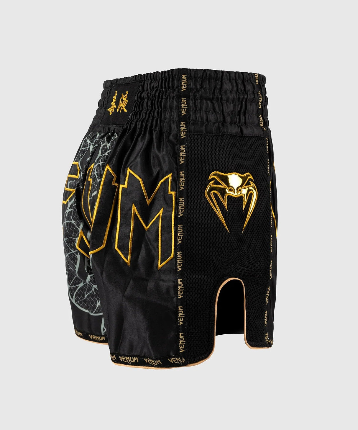 Venum Serpenti Muay Thai Shorts – Black/Gold, VENUM-05753-109