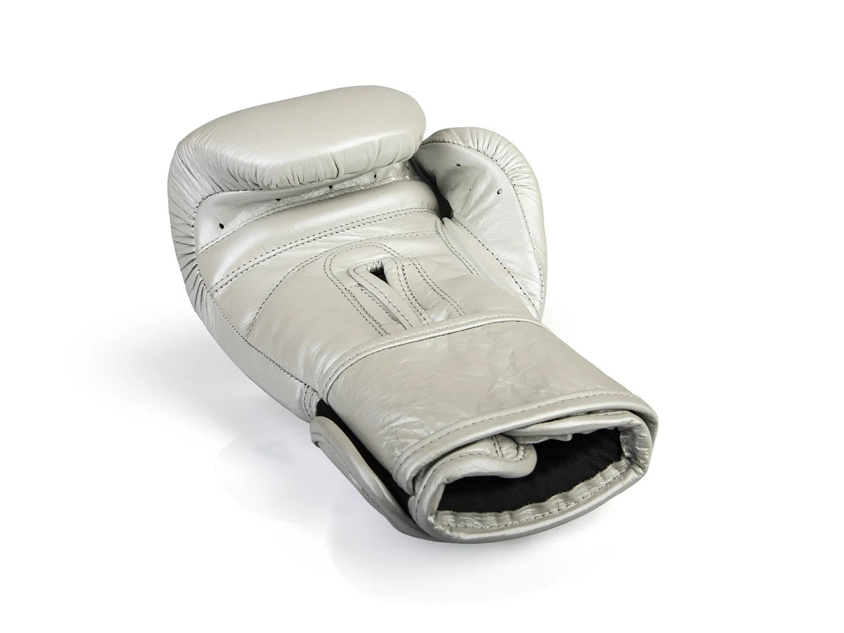 Paffen Sport „PRO KLETT“ Trainingsboxhandschuhe – Silber – 2193090