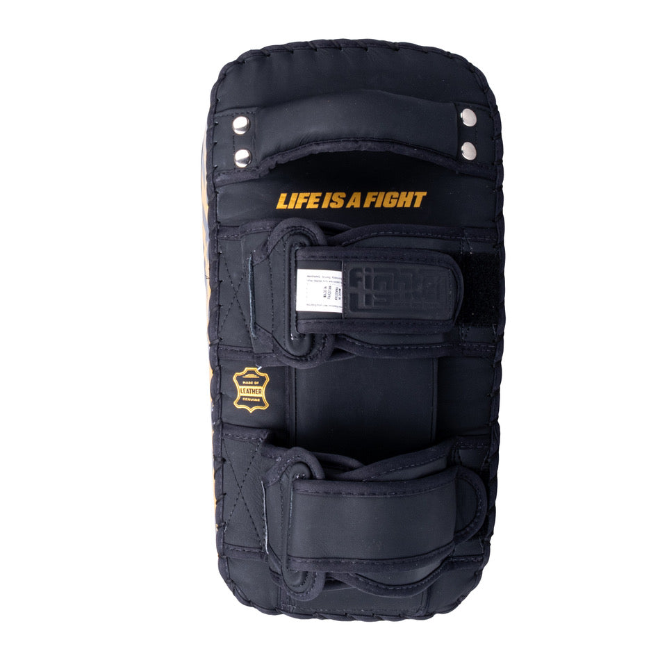 Fighter Thai Mitts – black/gold, FTP-001-12F