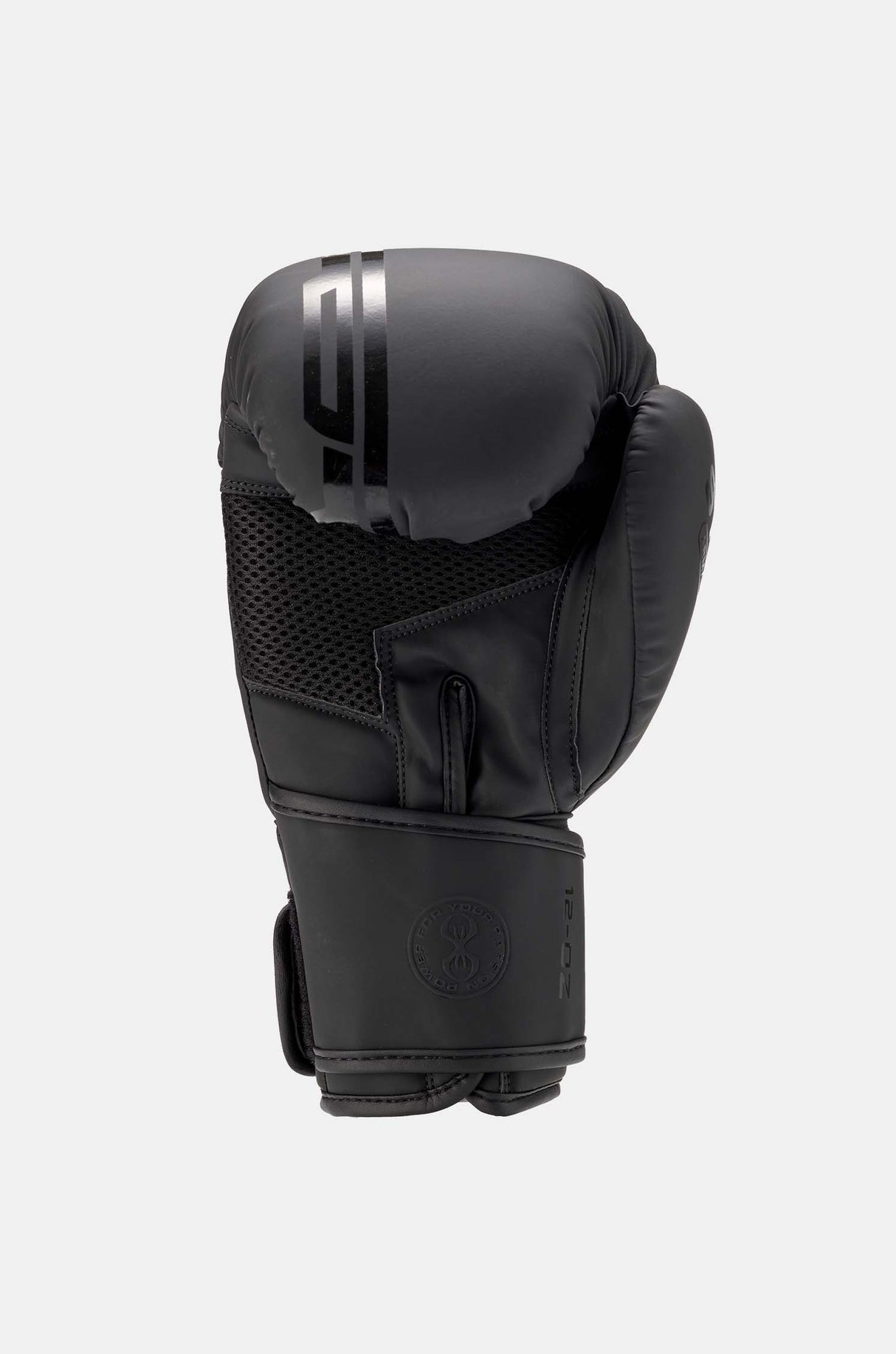 Gants de boxe Sting Armaplus - noir, G10381