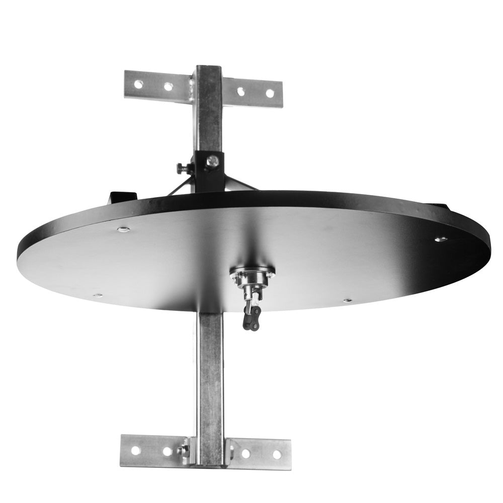 Plataforma de bola de velocidad profesional - negro, 439 -an