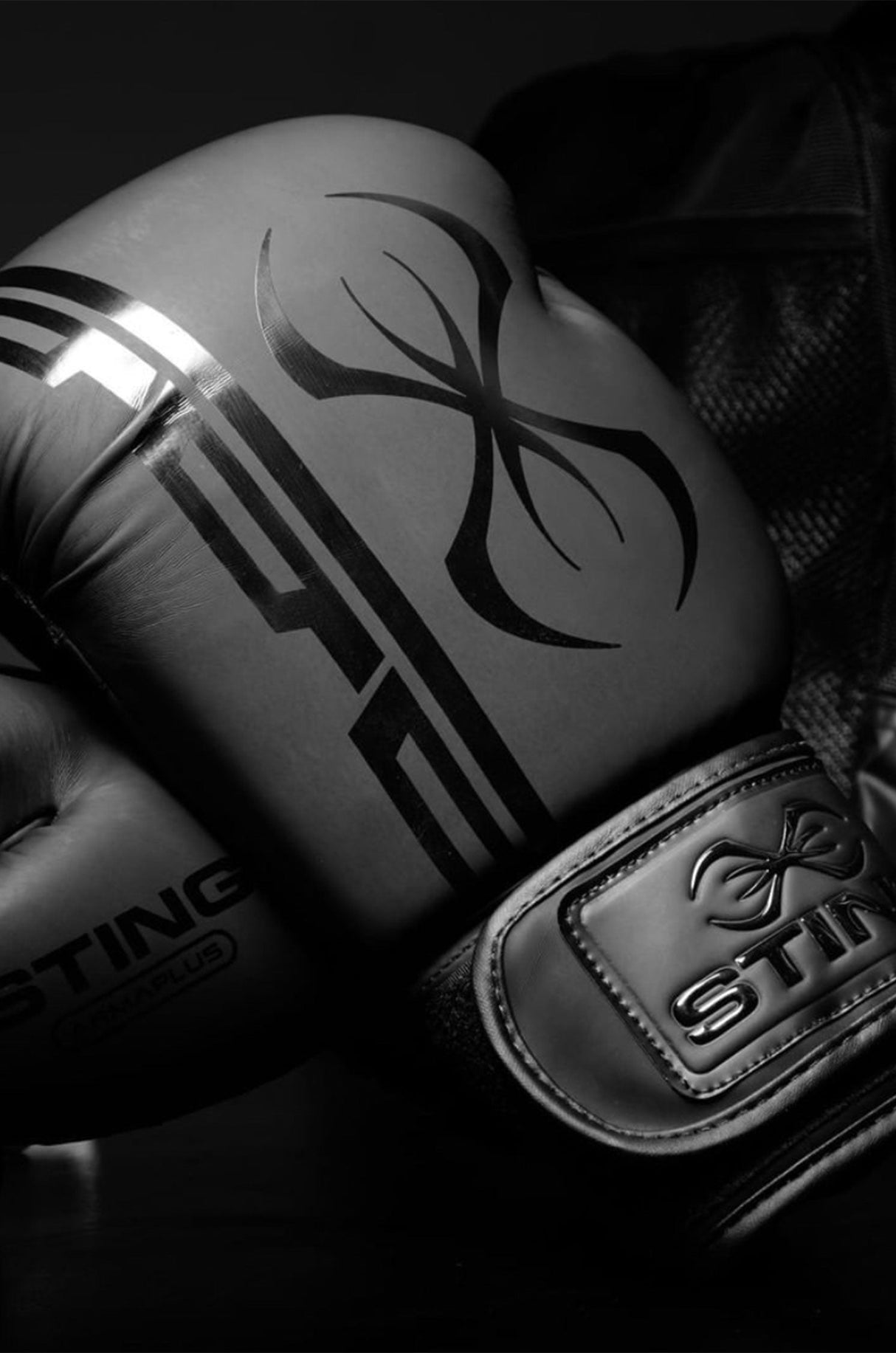 Gants de boxe Sting Armaplus - noir, G10381