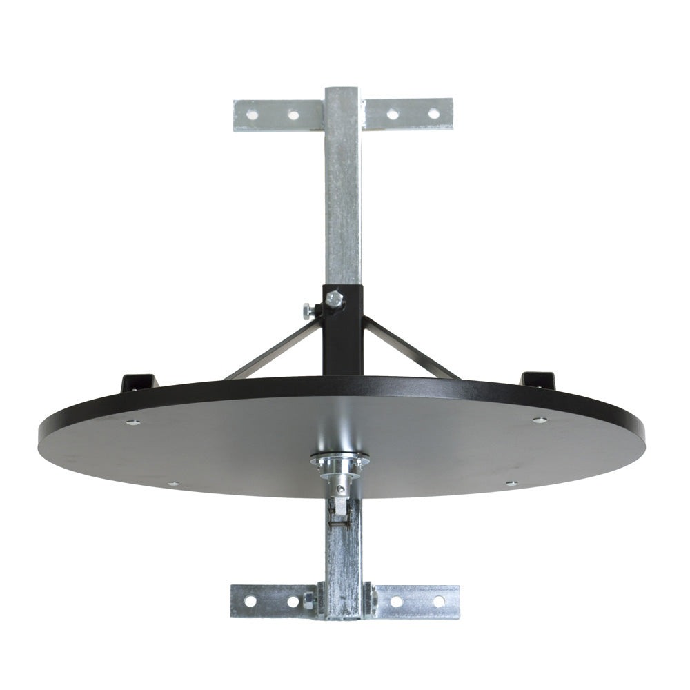 Plataforma de bola de velocidad profesional - negro, 439 -an