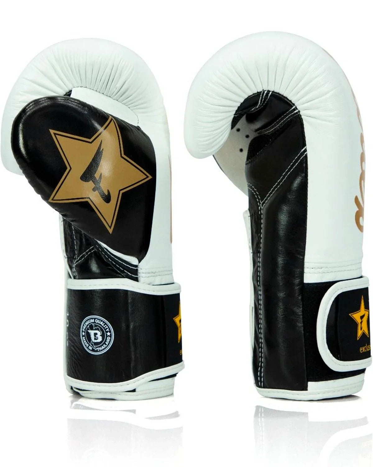 Serie de guantes de boxeo Fairtex-White/Gold FXB-BG-V2-WH/BK/Gold