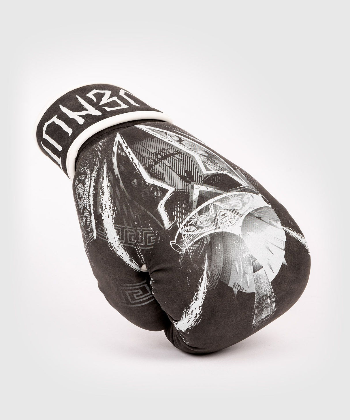 Gants de boxe Venum GLDTR 4.0 - noir/blanc