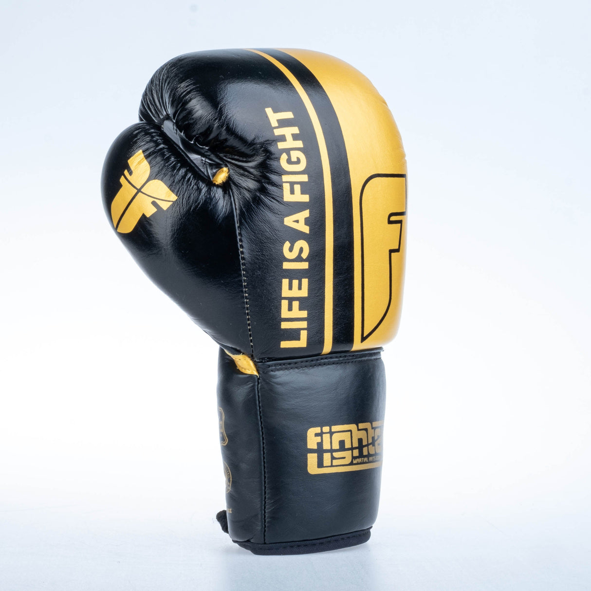 Gants de boxe Fighter Competition - noir/or, FBGF-002GL