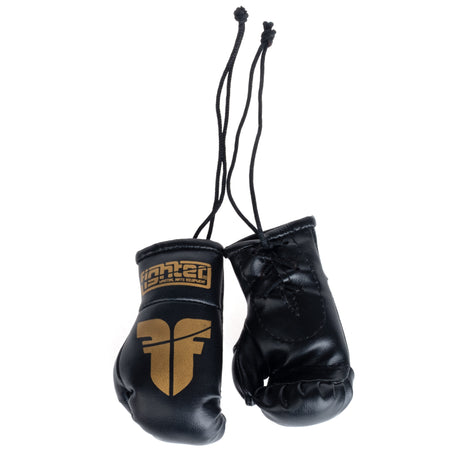 Fighter Mini -Boxhandschuhe - Schwarz/Gold