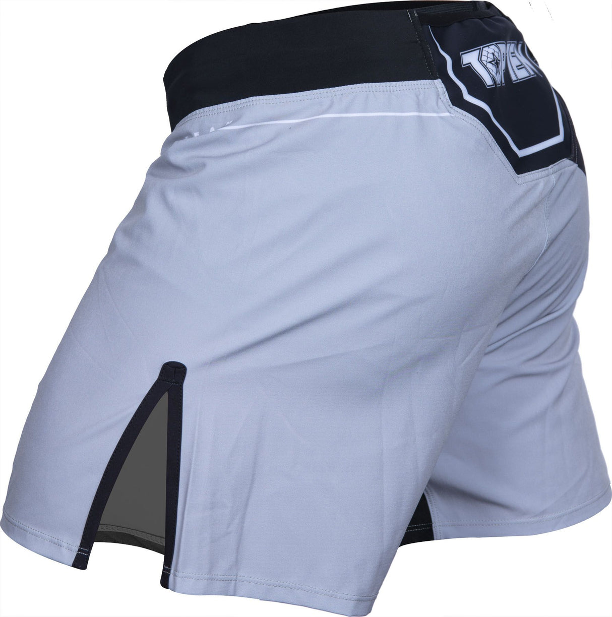 TOP TEN MMA Shorts Fight Team – grau