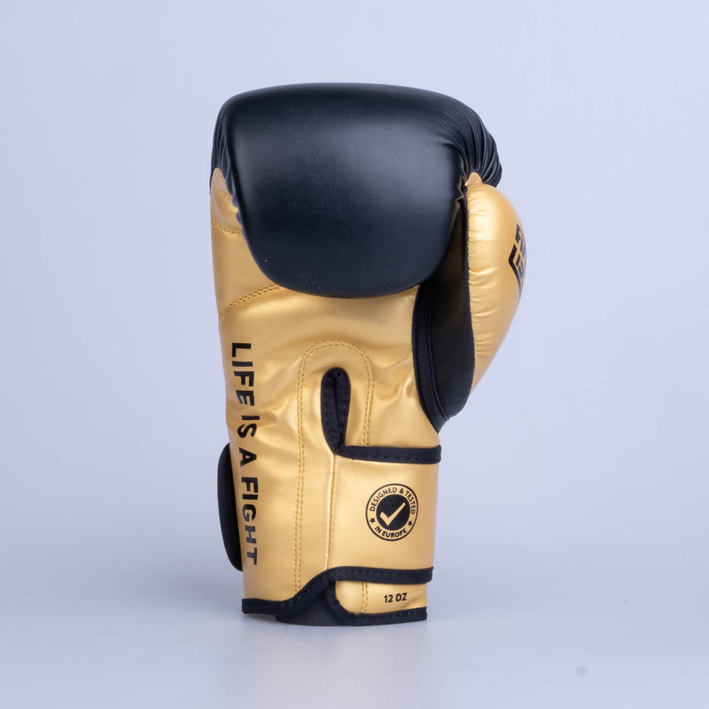 Fighter Boxing Gloves Training PU - black/gold, FBG-TRP-001