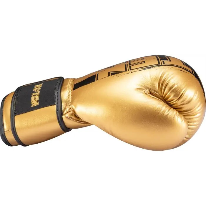 TOP TEN Gants de boxe Power Ink Golden Star - or/noir, 22662-29