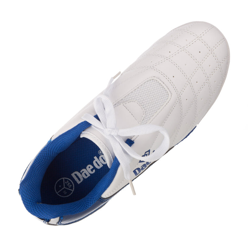 Budo Shoes Daedo KICK - white/blue, ZA3110