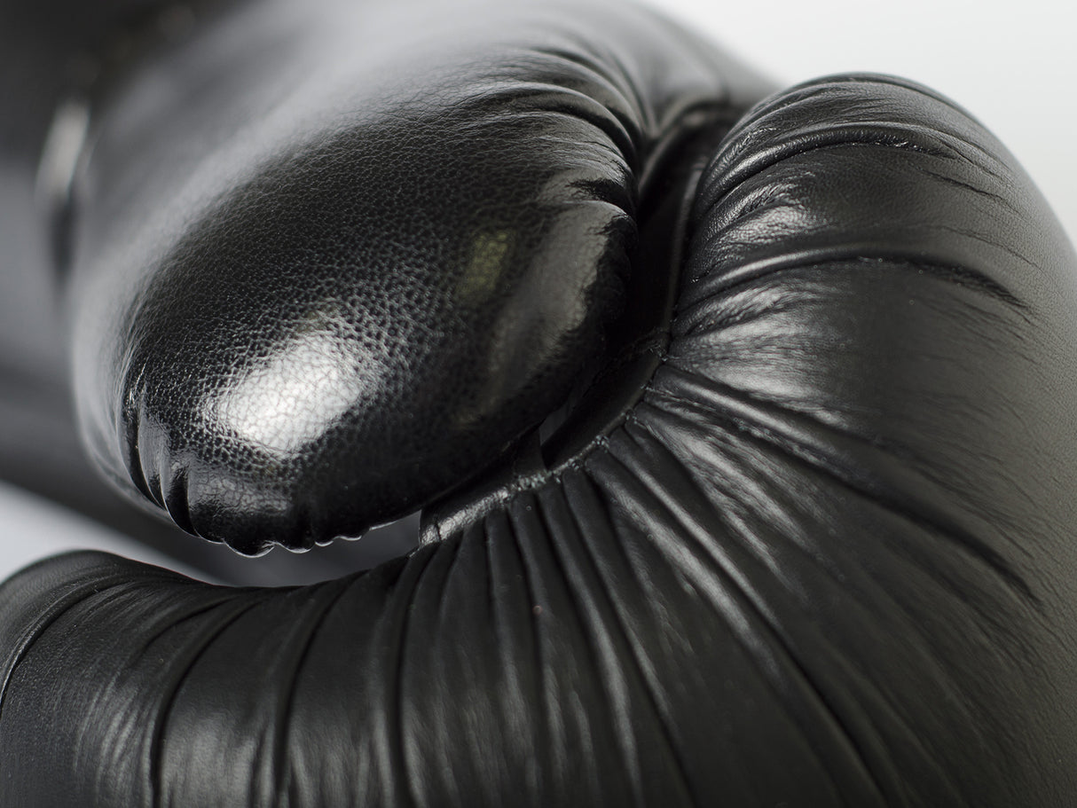 Paffen Sport Boxing Gloves Black Logo - black, 2143010