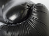 Paffen Sport Boxing Gloves Black Logo - black, 2143010
