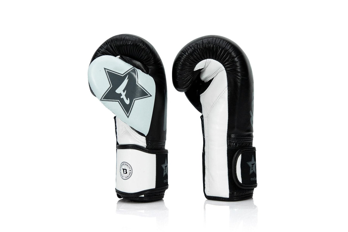Booster x Fairtex Boxing Gloves FXB V2 - black/white, FXB-BG-V2-BK/WH