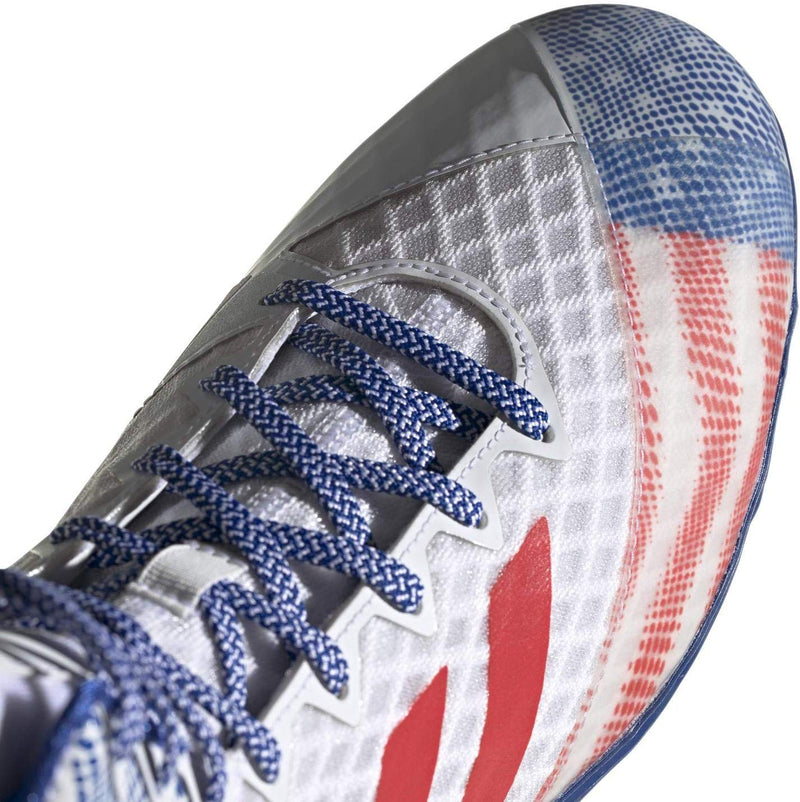 Adidas Wrestling shoes mat Wizard Hype - tricolor, EF1475
