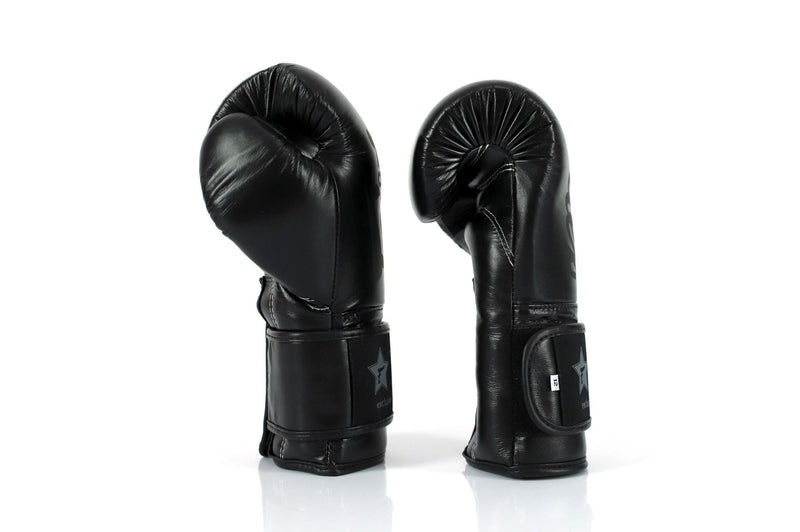 Fairtex Boxing Gloves Booster Series - black