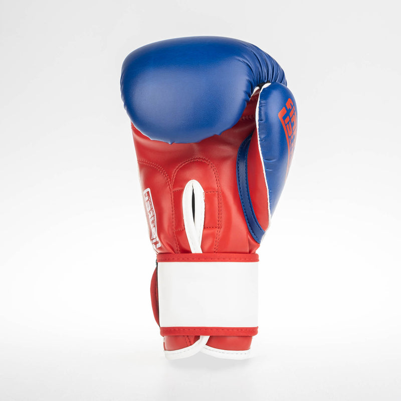 Fighter Boxing Gloves SPEED - tricolor, TH1612PUBLR