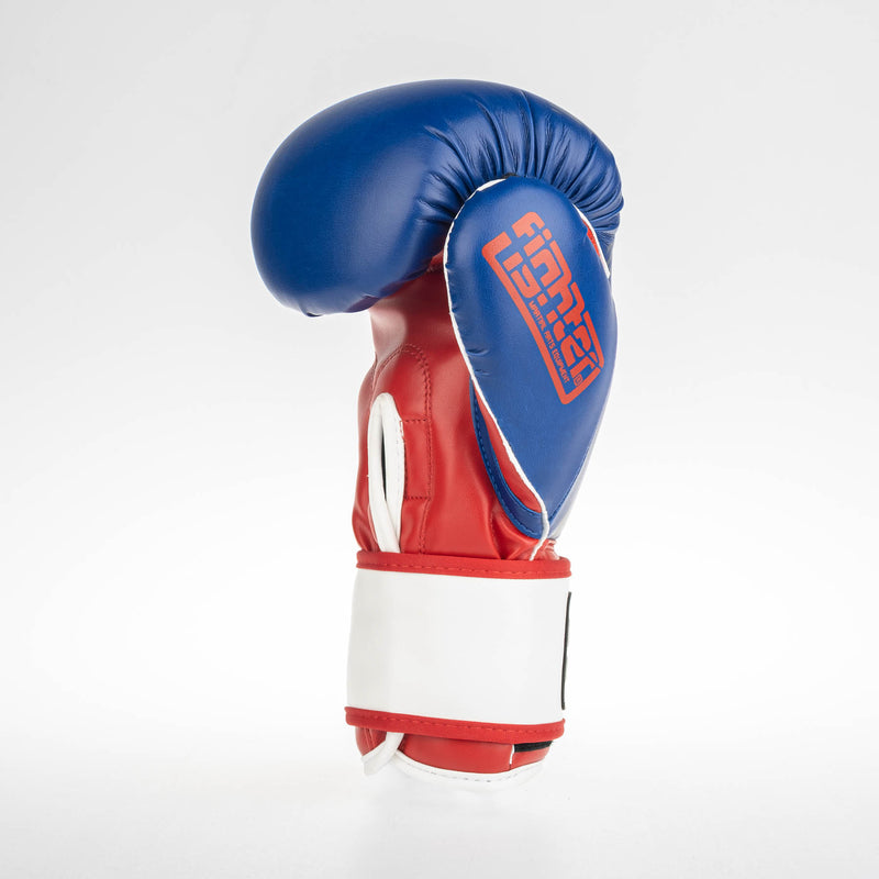 Fighter Boxing Gloves SPEED - tricolor, TH1612PUBLR