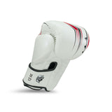 Guantes de boxeo King PB Spartan 2 - White, KPB/BG Spartan 2