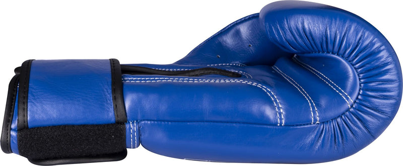 Top Ten IFMA Boxing gloves Mad - blue